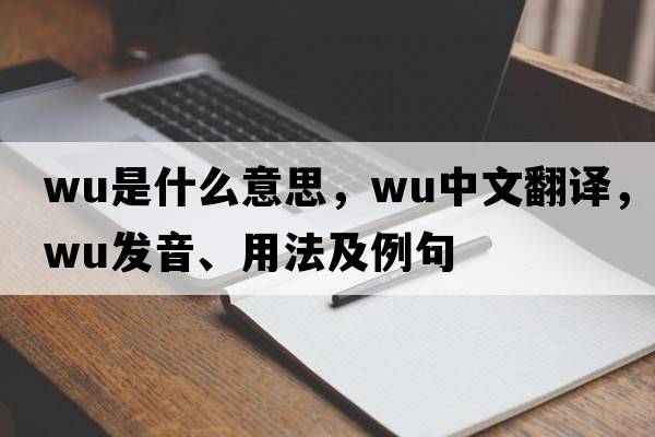 wu是什么意思，wu中文翻譯，wu發(fā)音、用法及例句