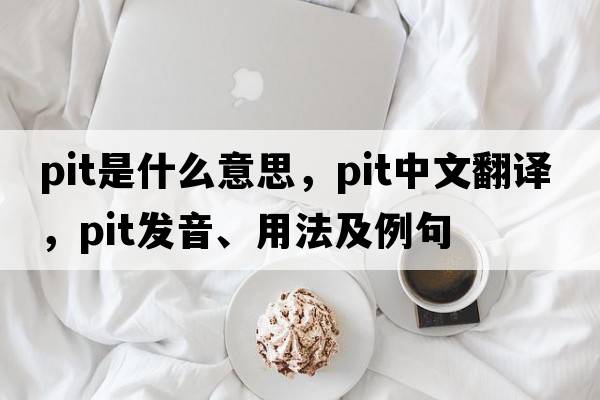 pit是什么意思，pit中文翻譯，pit發(fā)音、用法及例句