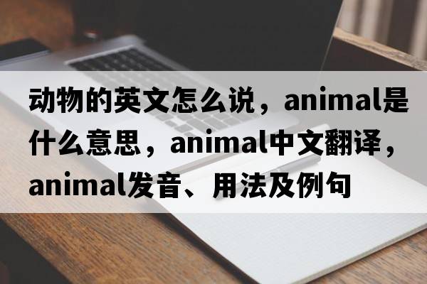 動(dòng)物的英文怎么說，animal是什么意思，animal中文翻譯，animal發(fā)音、用法及例句