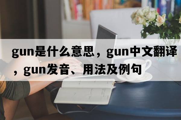gun是什么意思，gun中文翻譯，gun發(fā)音、用法及例句