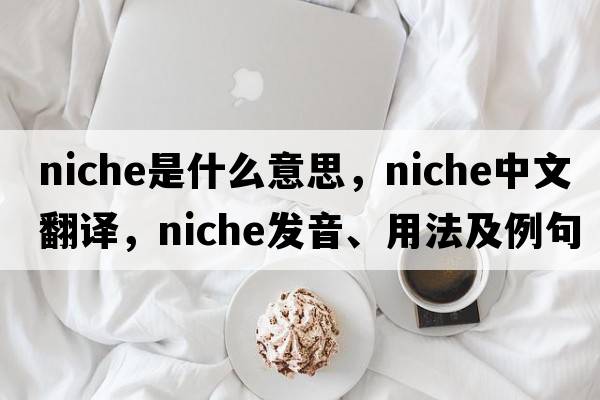 niche是什么意思，niche中文翻譯，niche發(fā)音、用法及例句