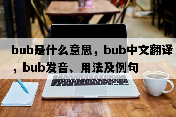 bub是什么意思，bub中文翻譯，bub發(fā)音、用法及例句