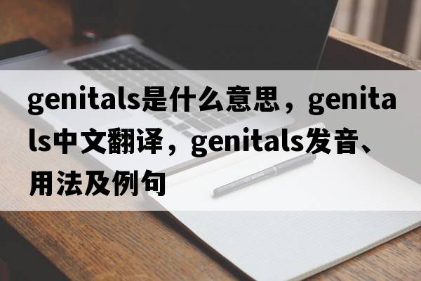 genitals是什么意思，genitals中文翻譯，genitals發(fā)音、用法及例句