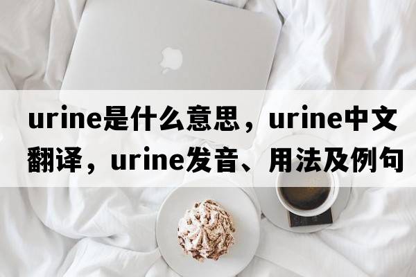 urine是什么意思，urine中文翻譯，urine發(fā)音、用法及例句