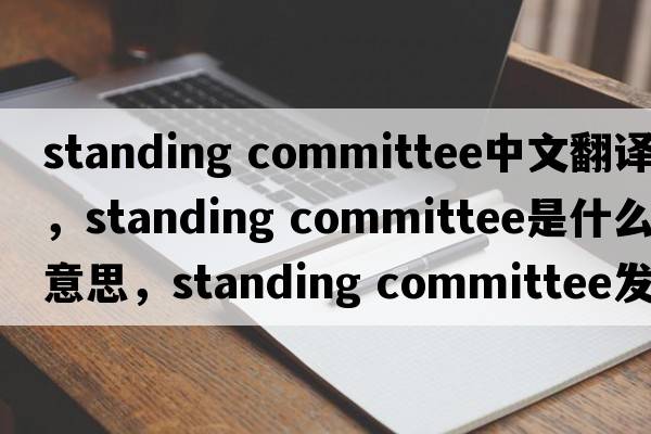 standing committee中文翻譯，standing committee是什么意思，standing committee發(fā)音、用法及例句