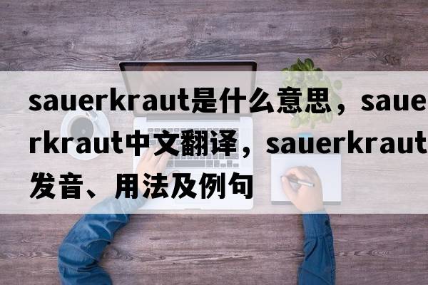 sauerkraut是什么意思，sauerkraut中文翻譯，sauerkraut發(fā)音、用法及例句
