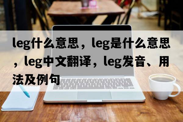 Leg什么意思，leg是什么意思，leg中文翻譯，leg發(fā)音、用法及例句