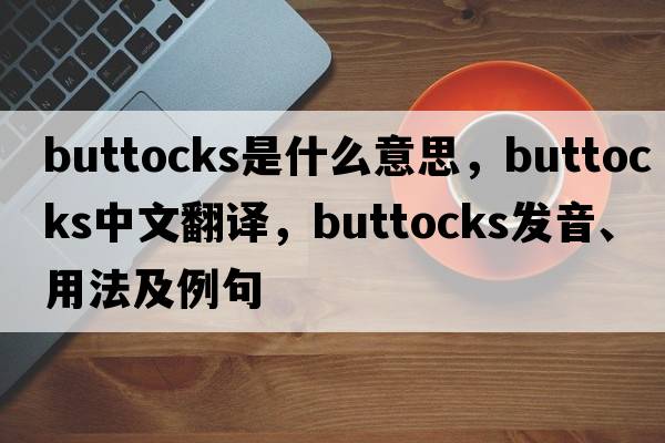 buttocks是什么意思，buttocks中文翻譯，buttocks發(fā)音、用法及例句