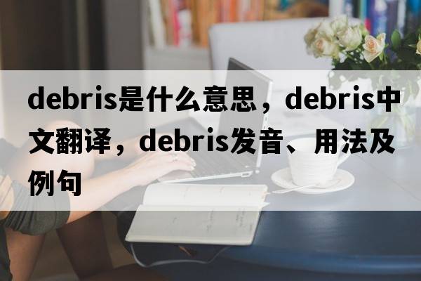 debris是什么意思，debris中文翻譯，debris發(fā)音、用法及例句