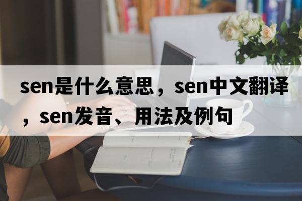 SEN是什么意思，SEN中文翻譯，SEN發(fā)音、用法及例句