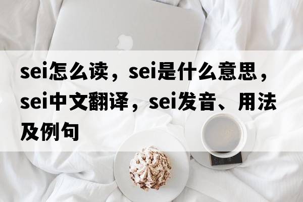 sei怎么讀，sei是什么意思，sei中文翻譯，sei發(fā)音、用法及例句