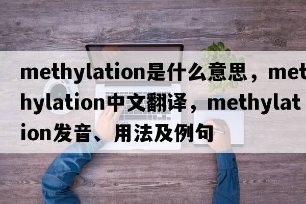 methylation是什么意思，methylation中文翻譯，methylation發(fā)音、用法及例句
