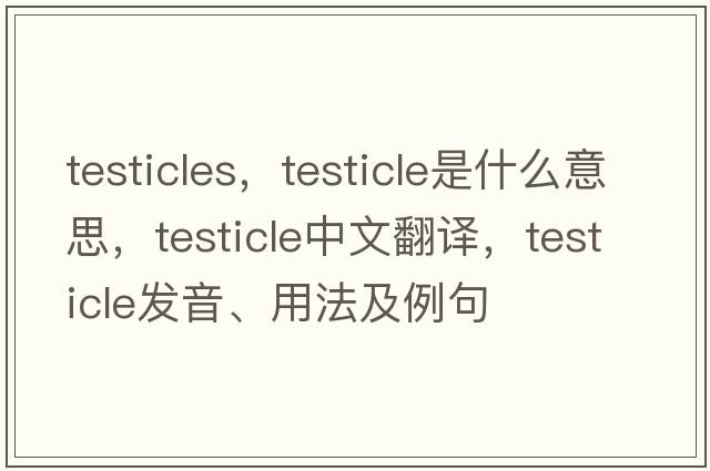 testicles，testicle是什么意思，testicle中文翻譯，testicle發(fā)音、用法及例句