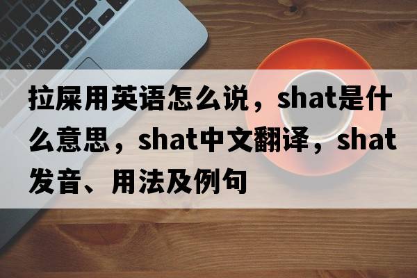 拉屎用英語怎么說，shat是什么意思，shat中文翻譯，shat發(fā)音、用法及例句