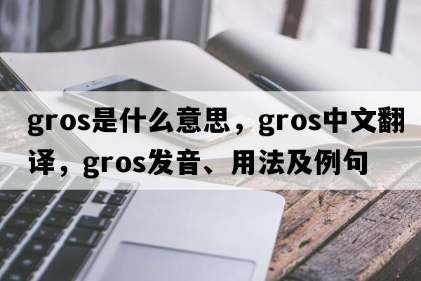 gros是什么意思，gros中文翻譯，gros發(fā)音、用法及例句