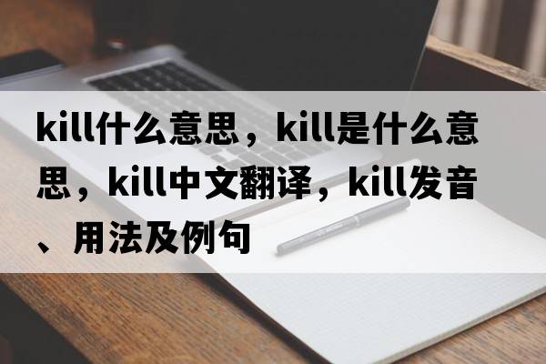kill什么意思，kill是什么意思，kill中文翻譯，kill發(fā)音、用法及例句