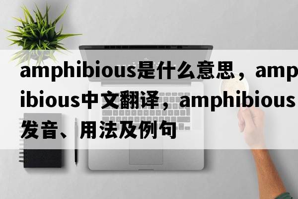 amphibious是什么意思，amphibious中文翻譯，amphibious發(fā)音、用法及例句