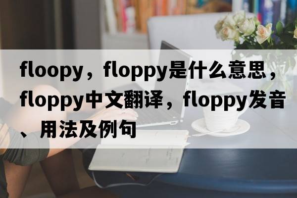 floopy，floppy是什么意思，floppy中文翻譯，floppy發(fā)音、用法及例句