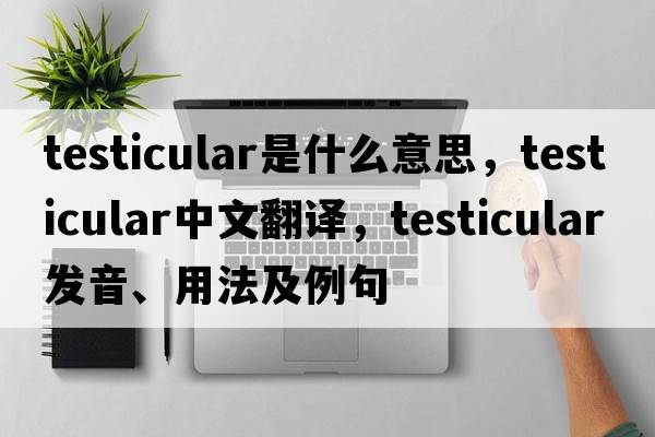 testicular是什么意思，testicular中文翻譯，testicular發(fā)音、用法及例句