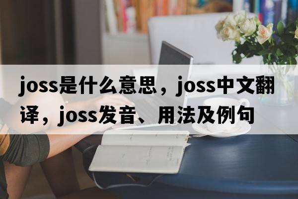 joss是什么意思，joss中文翻譯，joss發(fā)音、用法及例句