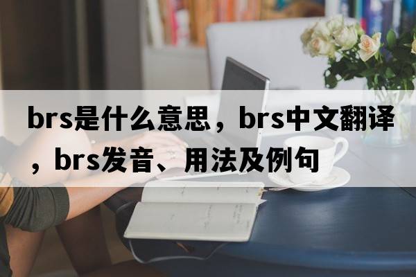 BRS是什么意思，BRS中文翻譯，BRS發(fā)音、用法及例句