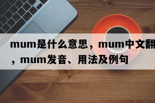 mum是什么意思，mum中文翻譯，mum發(fā)音、用法及例句