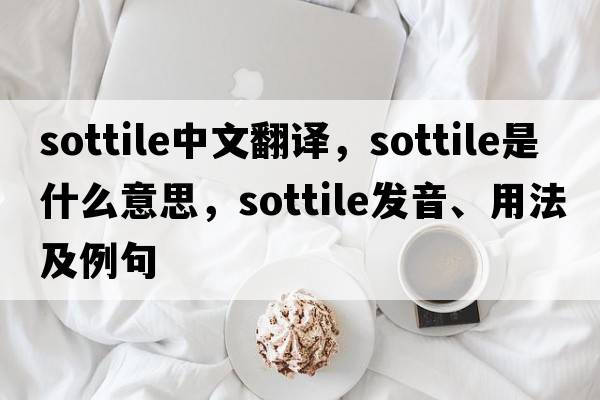 sottile中文翻譯，sottile是什么意思，sottile發(fā)音、用法及例句