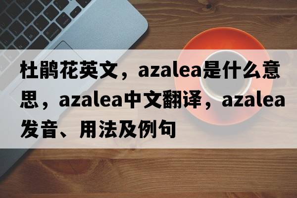 杜鵑花英文，azalea是什么意思，azalea中文翻譯，azalea發(fā)音、用法及例句