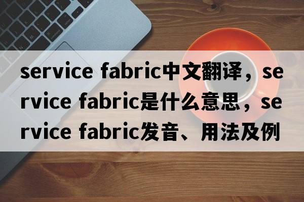 service fabric中文翻譯，service fabric是什么意思，service fabric發(fā)音、用法及例句