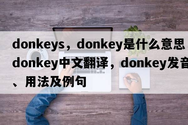 donkeys，donkey是什么意思，donkey中文翻譯，donkey發(fā)音、用法及例句