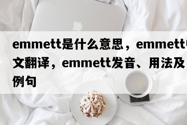 Emmett是什么意思，Emmett中文翻譯，Emmett發(fā)音、用法及例句