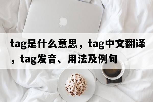 tag是什么意思，tag中文翻譯，tag發(fā)音、用法及例句