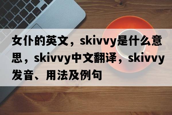 女仆的英文，skivvy是什么意思，skivvy中文翻譯，skivvy發(fā)音、用法及例句