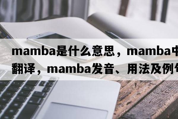 mamba是什么意思，mamba中文翻譯，mamba發(fā)音、用法及例句