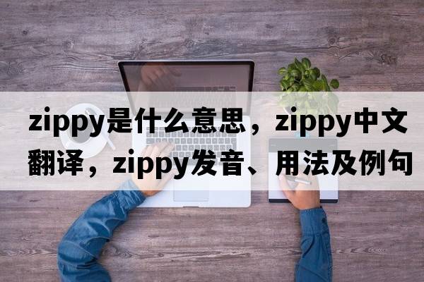 zippy是什么意思，zippy中文翻譯，zippy發(fā)音、用法及例句