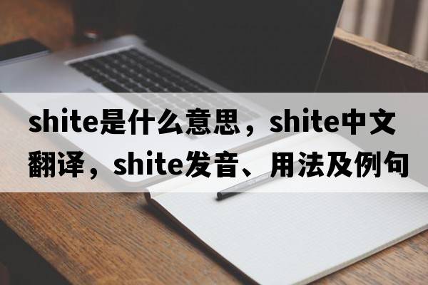 shite是什么意思，shite中文翻譯，shite發(fā)音、用法及例句