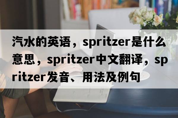 汽水的英語，spritzer是什么意思，spritzer中文翻譯，spritzer發(fā)音、用法及例句