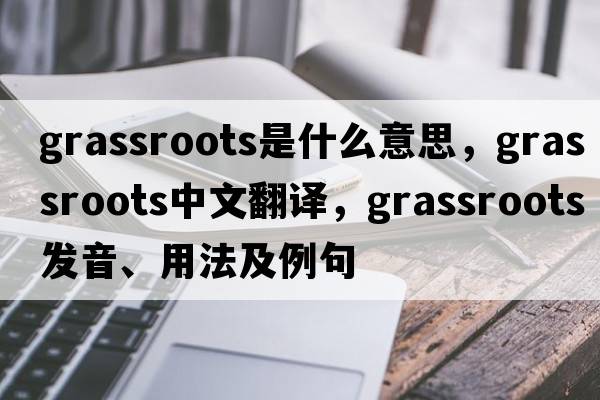 grassroots是什么意思，grassroots中文翻譯，grassroots發(fā)音、用法及例句