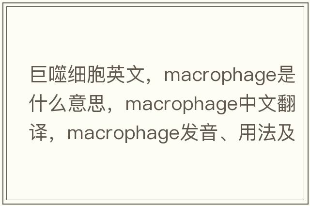 巨噬細(xì)胞英文，macrophage是什么意思，macrophage中文翻譯，macrophage發(fā)音、用法及例句