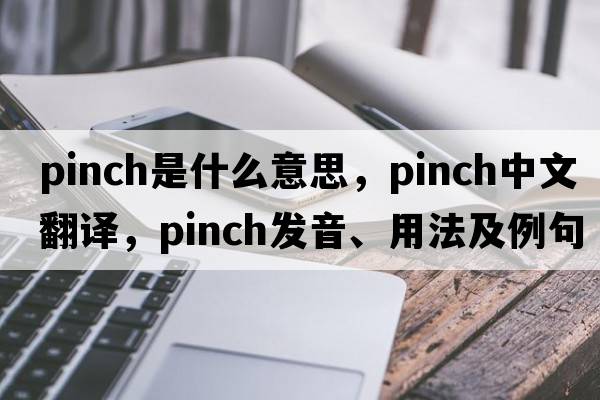 pinch是什么意思，pinch中文翻譯，pinch發(fā)音、用法及例句