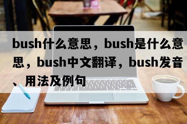 bush什么意思，bush是什么意思，bush中文翻譯，bush發(fā)音、用法及例句