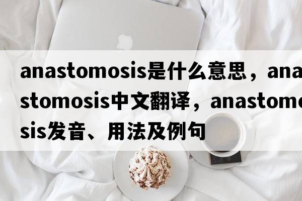 anastomosis是什么意思，anastomosis中文翻譯，anastomosis發(fā)音、用法及例句