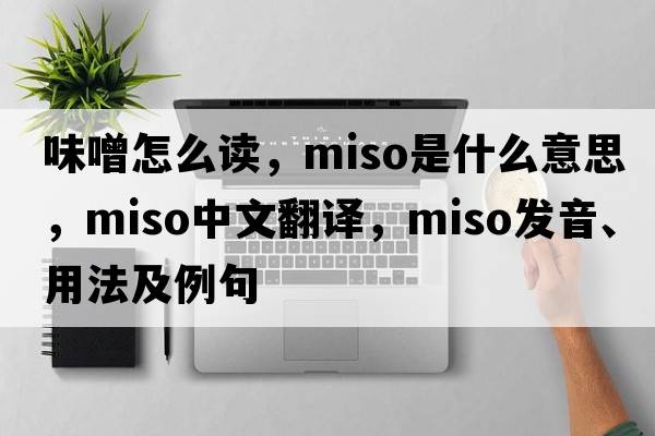 味噌怎么讀，miso是什么意思，miso中文翻譯，miso發(fā)音、用法及例句