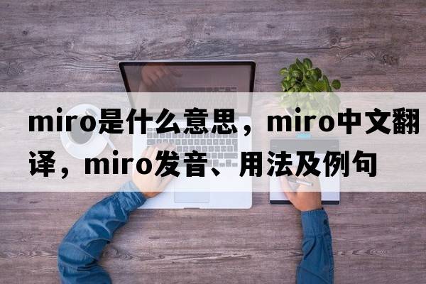 Miro是什么意思，Miro中文翻譯，Miro發(fā)音、用法及例句