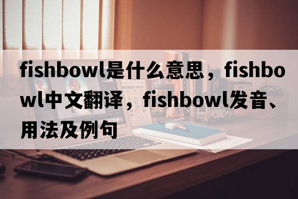 fishbowl是什么意思，fishbowl中文翻譯，fishbowl發(fā)音、用法及例句
