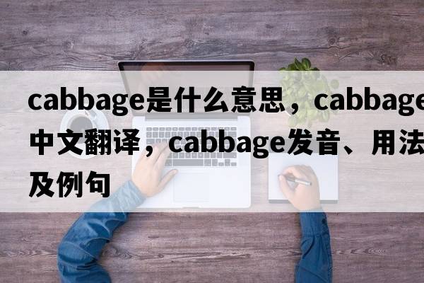 cabbage是什么意思，cabbage中文翻譯，cabbage發(fā)音、用法及例句
