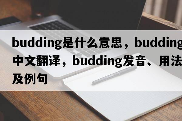 budding是什么意思，budding中文翻譯，budding發(fā)音、用法及例句