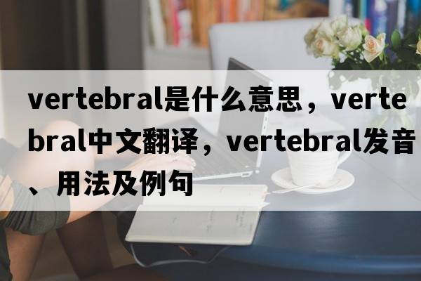 vertebral是什么意思，vertebral中文翻譯，vertebral發(fā)音、用法及例句
