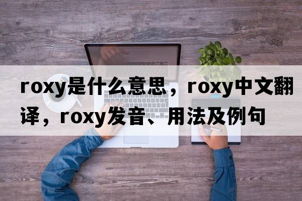 ROXY是什么意思，ROXY中文翻譯，ROXY發(fā)音、用法及例句