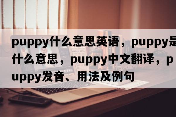 puppy什么意思英語(yǔ)，puppy是什么意思，puppy中文翻譯，puppy發(fā)音、用法及例句